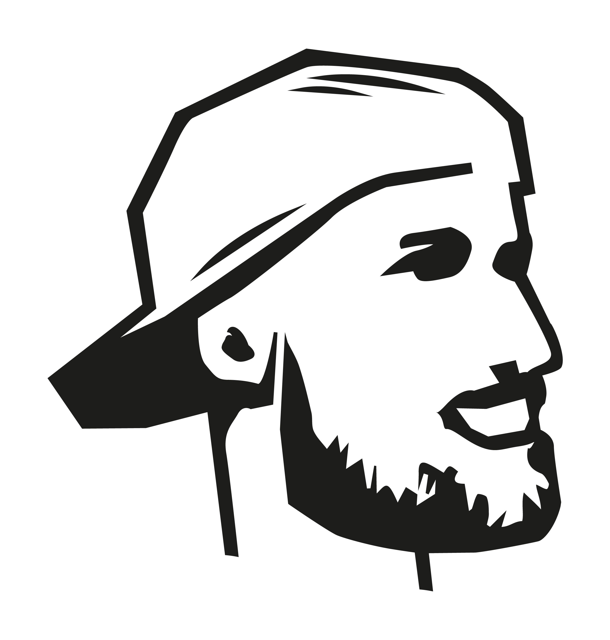 Bild von Stefan Dillinger